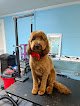 Negocio The Doggy Barbers Limited Liability Co.