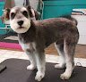 Negocio The Fluffy Puppy