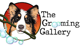 Negocio The Grooming Gallery