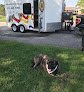Negocio The Gussy Puppy Dog And Cat Grooming Spa, Mobile Grooming