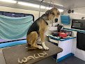 Negocio The Mobile Paw Spa