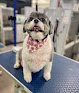 Negocio The Paw Spa Kaysville