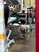 Negocio The Paw-ber Shoppe