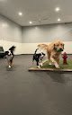 Negocio The Paws Zone - Grooming, Boarding & Dog Daycare