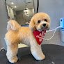 Negocio The Paw•lour Dog Grooming