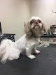 Negocio The Pet Groomers