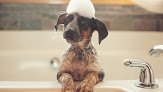Negocio The Pet Palace (dog Grooming)