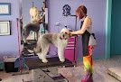 Negocio The Pet Spaw Llc