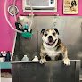 Negocio The Pin-up Pooch Mobile Pet Grooming