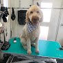 Negocio The S' Paw Pet Grooming