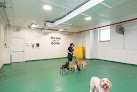 Negocio Throw Me A Bone Inc. / Dog Daycare, Grooming And Boarding