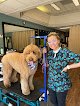 Negocio Tidy Pawz Pet Grooming