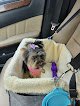 Negocio Top Dog Grooming Spa