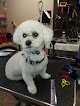 Negocio Trixie's Pawfection