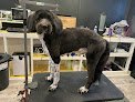 Negocio Trunorth Pet Styling