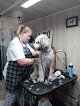 Negocio T's Pet Grooming