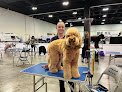 Negocio Unleashed Pet Salon And Spa