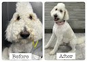 Negocio Uptown Pet Spa Scottsdale