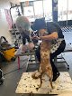 Negocio Vanity Pawz Pet Salon