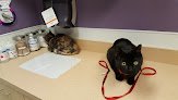 Negocio Vca Macarthur Animal Hospital