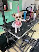 Negocio Vicki’s Pet Clipz