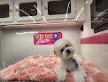 Negocio Vip Pet Elite