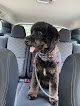 Negocio Wag On Inn, Llc