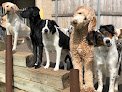 Negocio Wag 'n Woofs