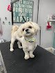 Negocio Wag-n-tails Pet Grooming