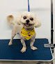 Negocio Wagging Tails Pet Hotel & Grooming Llc (dilán Grooming)