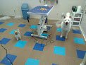 Negocio Waggintails Dog Grooming