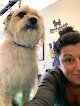 Negocio Wags To Whiskers Pet Grooming