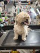 Negocio Wanda's Pet Grooming L.l.c.