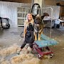 Negocio Wash Dog Grooming Salon Llc