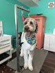 Negocio What A Wonderful Woof - Salon And Mobile Dog Grooming