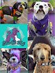 Negocio What The Fluff Mobile Pet Spa