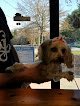 Negocio Whiskers Pet Grooming