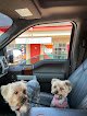 Negocio White Rock Pet Grooming