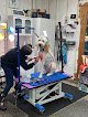 Negocio Wicked Clean Grooming And Boarding, Llc