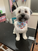 Negocio Wicked Wags Grooming Salon & Pet Boutique