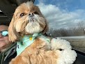 Negocio Wizard Of Paws Pet Grooming
