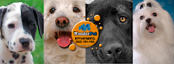 Negocio Wonder Pet Grooming