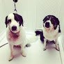 Negocio Woof Gang Bakery & Grooming Chapel Hill
