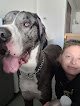 Negocio Zen Pet Grooming
