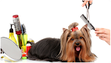 Negocio Zoom N Groom Rolla Missouri