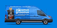 Negocio Zoomin Groomin